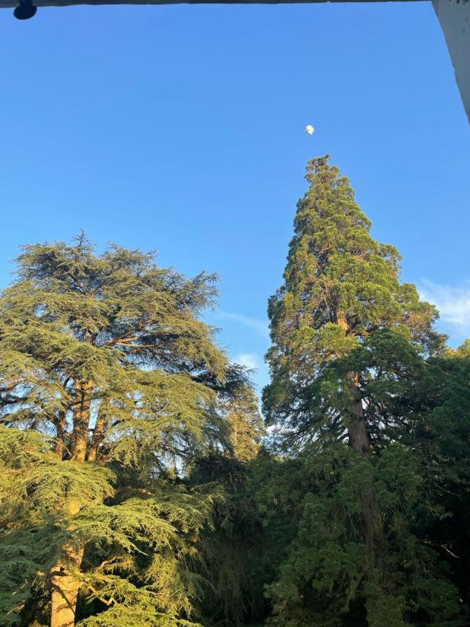 Entre Les Branches Bed & Breakfast Saint-Regle Bagian luar foto